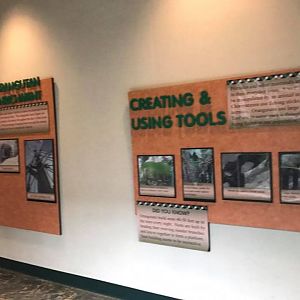 Hubbard Orangutan Forest