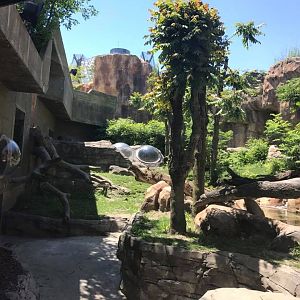 Hubbard Gorilla Valley