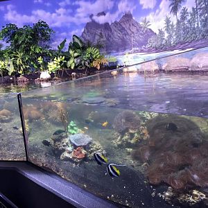 Scott Aquarium