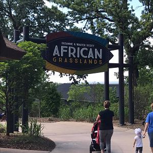 African Grasslands