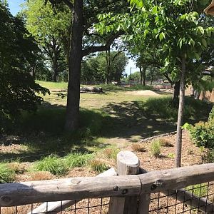 African Grasslands- African Elephant, Grant's Zebra, Impala
