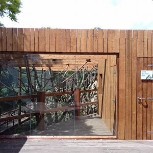 27th May 2017 - Gibbon enclosure