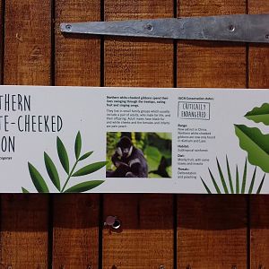 27th May 2017 - Gibbon enclosure