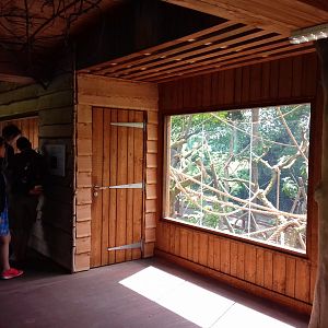 27th May 2017 - Gibbon enclosure