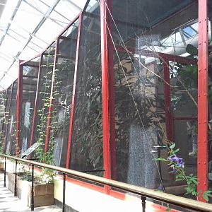 27th May 2017 - Blackburn Pavilion