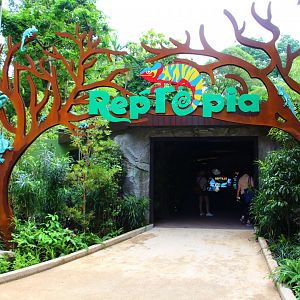 RepTopia entrance