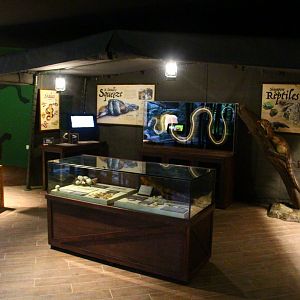 RepTopia - Interpretive area