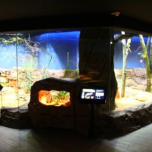 RepTopia - Deserts of the World