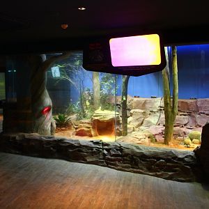 RepTopia - Deserts of the World