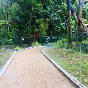 RepTopia - Indo-Pacific