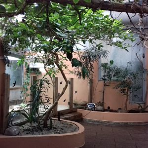 27th May 2017 - Blackburn Pavilion