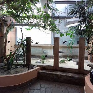 27th May 2017 - Blackburn Pavilion