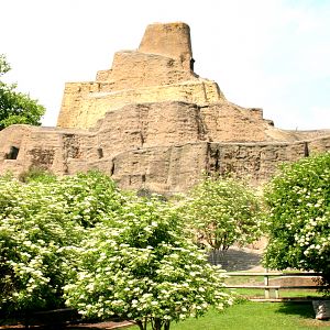 View Mappin Terraces (former Goat Hill); London Zoo; 27th May 2017