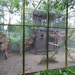 Empty Aviary