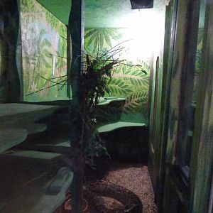 Burmese Python Vivarium