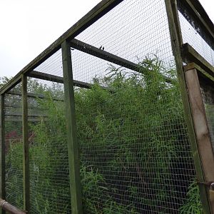 Empty Aviary (Former Violet Turaco Aviary)