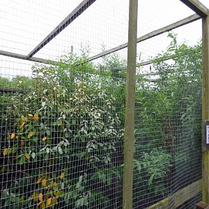 Another Empty Aviary (Former Von der Derken's Hornbill Aviary