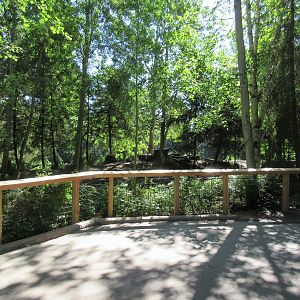 Grey Wolf Exhibit (new wood for visitor barrier)