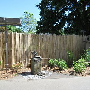 Wildlife Theater (new bamboo fencing in 2017)