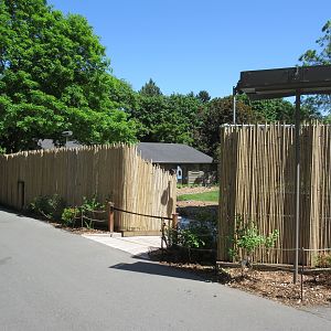 Wildlife Theater (new bamboo fencing in 2017)