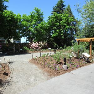 Pollinator Patio (new in 2017)