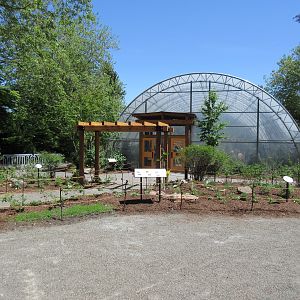 Pollinator Patio + Butterfly Garden (new in 2017 and 2016, respectively)