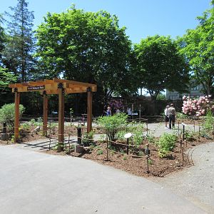 Pollinator Patio (new in 2017)