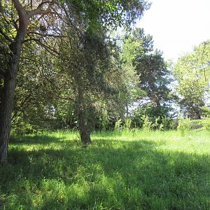 White-Naped Crane Exhibit (2nd of 2 exhibits)