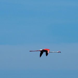 Menorca 17th may 2017