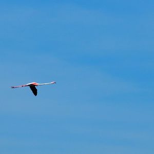 Menorca 17th may 2017