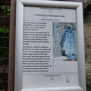 Battlefield Falconary Centre- Signage Style