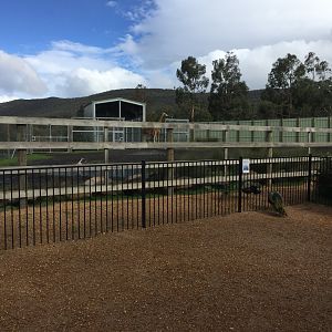 Front of Giraffe Exhibit