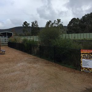 Giraffe Exhibit Viewing Area