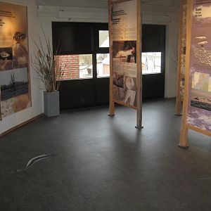 Fiskeri- og Søfartsmuseet - Salmon exhibition