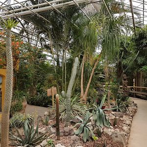 View into the Butterfly-hall