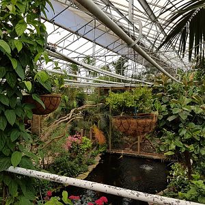 View into the Butterfly-hall from above