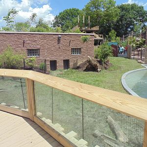 Giant Anteater/Caybara Exhibit