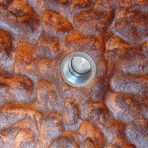 interactive/enrichment feeding hole for the anteater