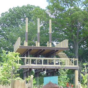 zipline(not opened yet)