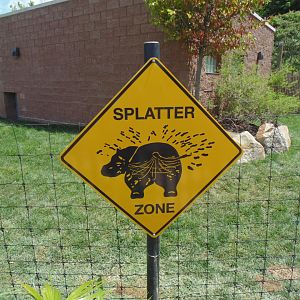 pygmy hippo exhibit signage