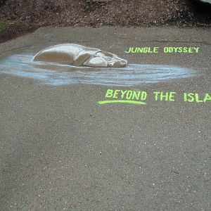 jungle odyssey chalk painting