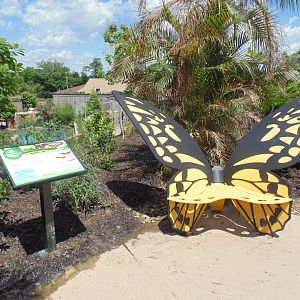 Butterfly Bench Jungle Odyssey Area
