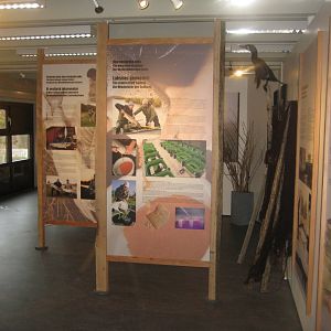 Fiskeri- og Søfartsmuseet - Salmon exhibition