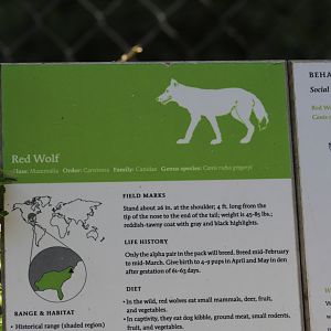 Red Wolf Signage