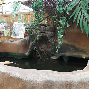 Enclosure Coypu