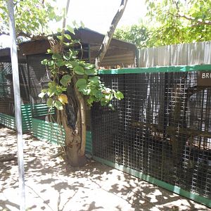 Bird and snake enclosures