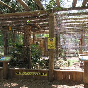 Macaw and Cockatoo Aviary - Wild Florida