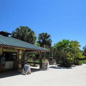 General grounds - Wild Florida