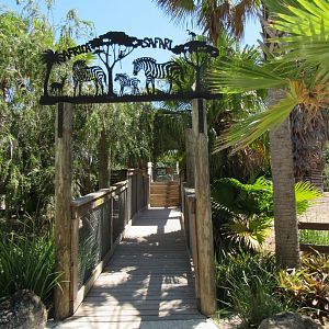 African Savanna - Wild Florida