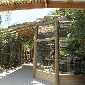 Geographic small animals - Wild Florida